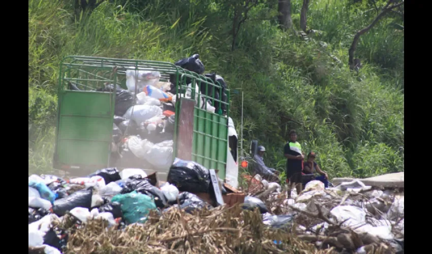  Las cuatro hectáreas restantes se mantendrán para la expansión de la planta de reciclaje.