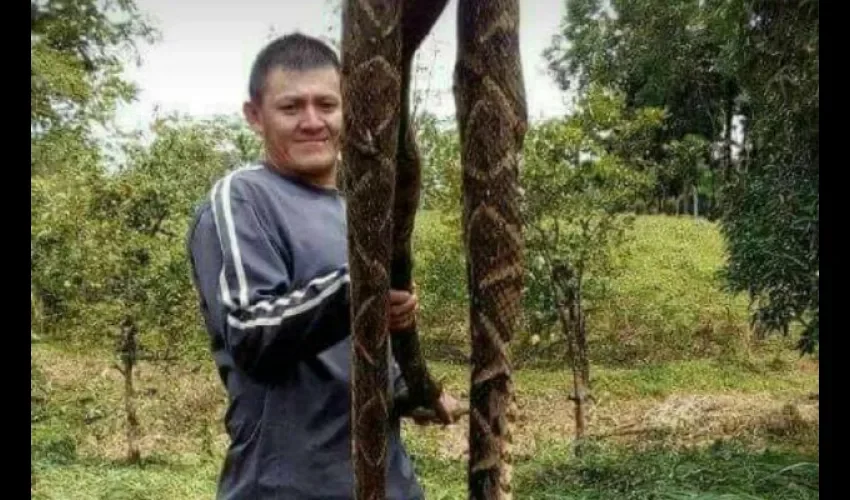 Una familia encontró un reptil  de varios metros de largo en el patio de su casa.