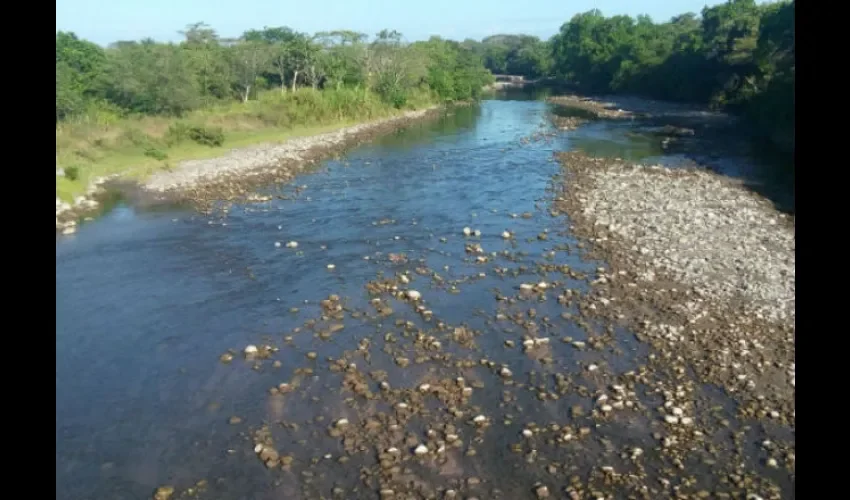 Este problema de agua genera una baja en la siembra.