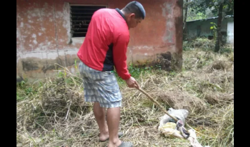 Alarma en Chiriquí por delincuencia 