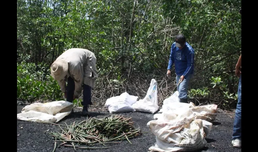 Querían más aumento: Foto: Epasa