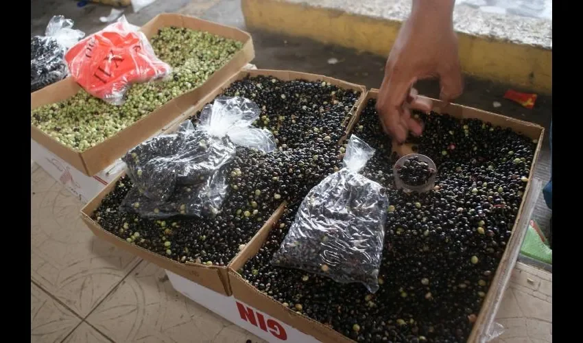 El guandú es uno de los acompañantes  en el menú navideño. FOTO: ROBERTO BARRIOS