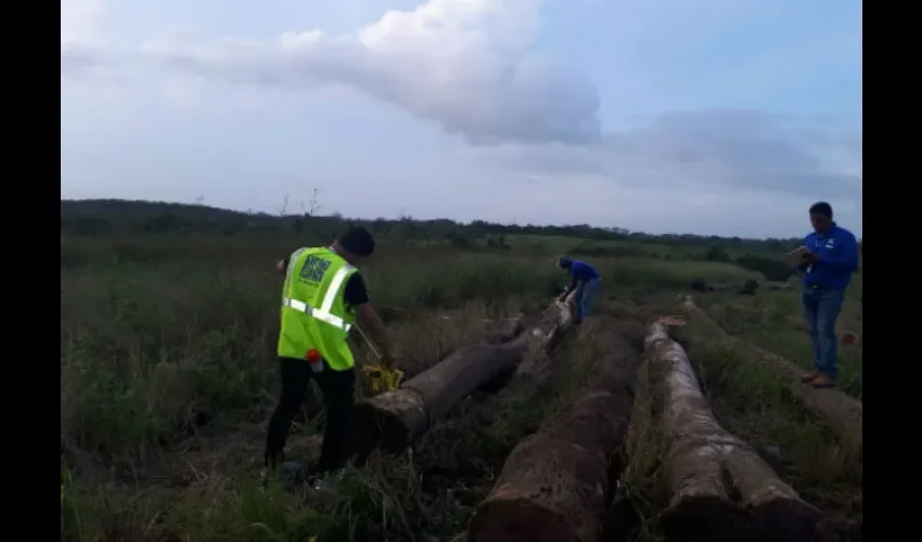 Tucas de madera. 