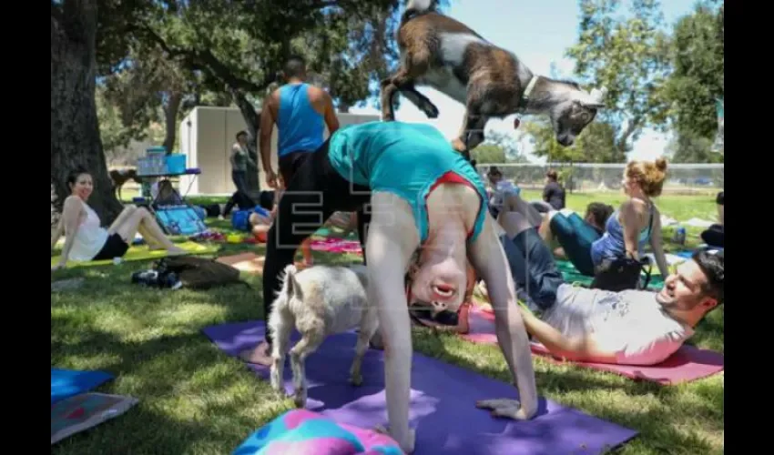 Yoga. 