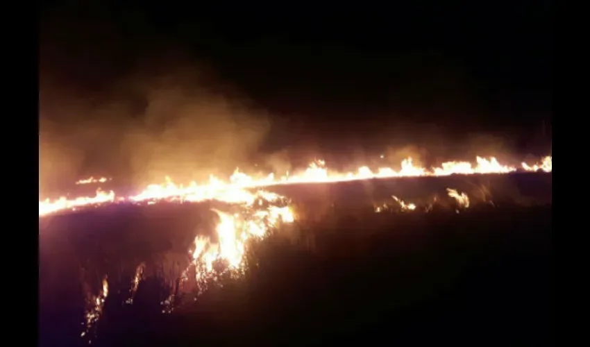 Incendio de masa vegetal en Parque Nacional Volcán Barú