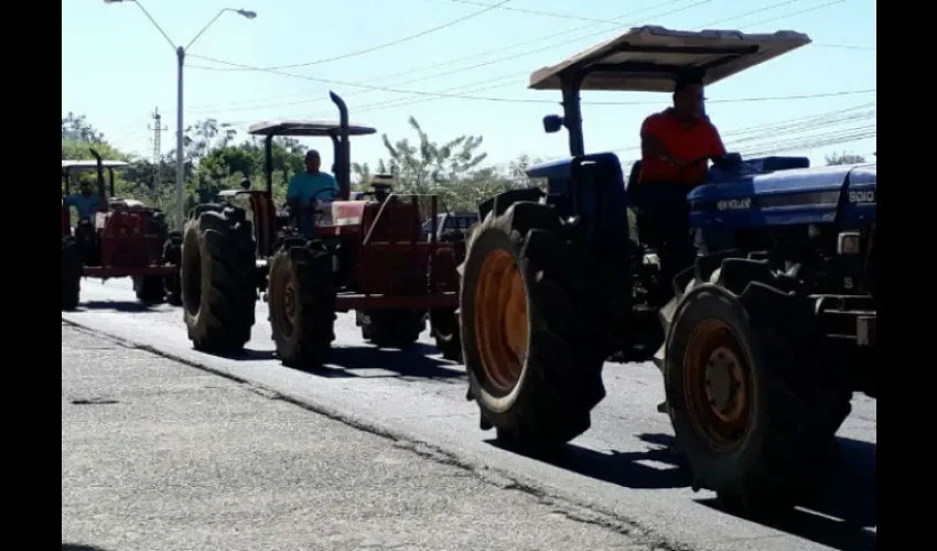 Productores de frijoles vigna.