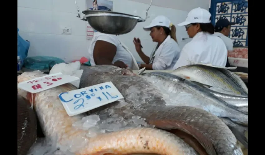 Productos del mar en el Mercado de Mariscos.