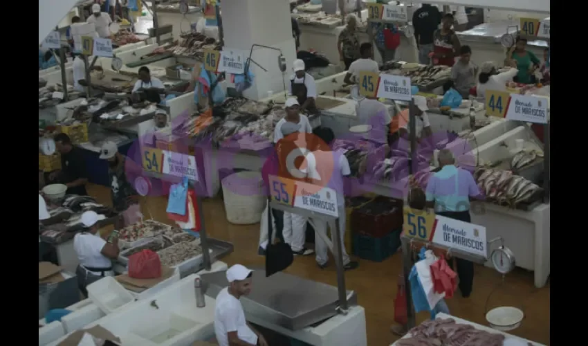 Todos salen a comprar sus mariscos entre miércoles y jueves. Fotos: Roberto Barrios