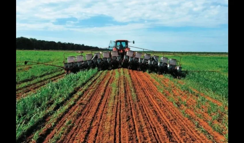 Foto ilustrativa del trabajo de producción en el campo. 