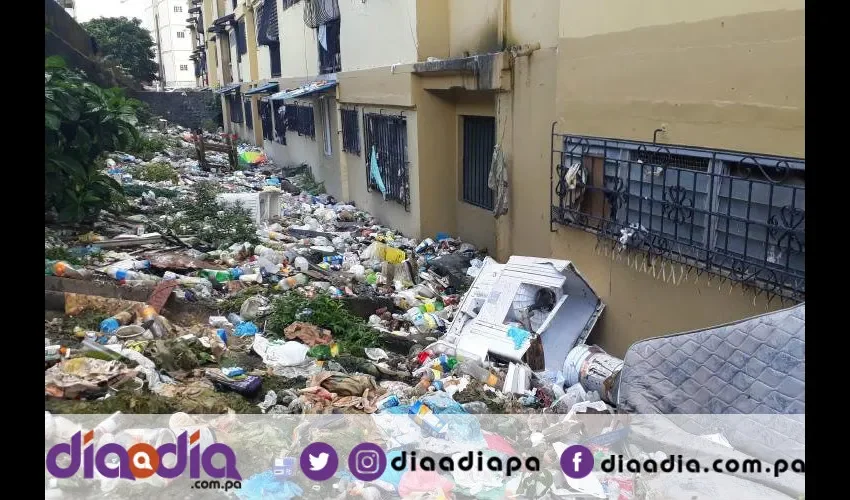 Arrojan la basura desde las ventanas de los apartamentos. Foto: Jesús Simmons