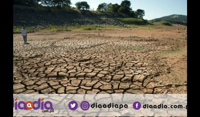 La sequía es uno de los problemas que trabajan los expertos científicos. Foto: Epasa