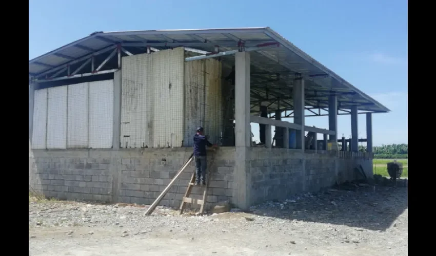 Son tres albergues repartidos en la provincia de Bocas del Toro. Foto: Cortesía