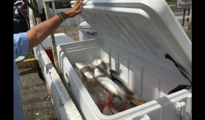 Vendían pescado sin suficiente hielo. Foto: Cortesía