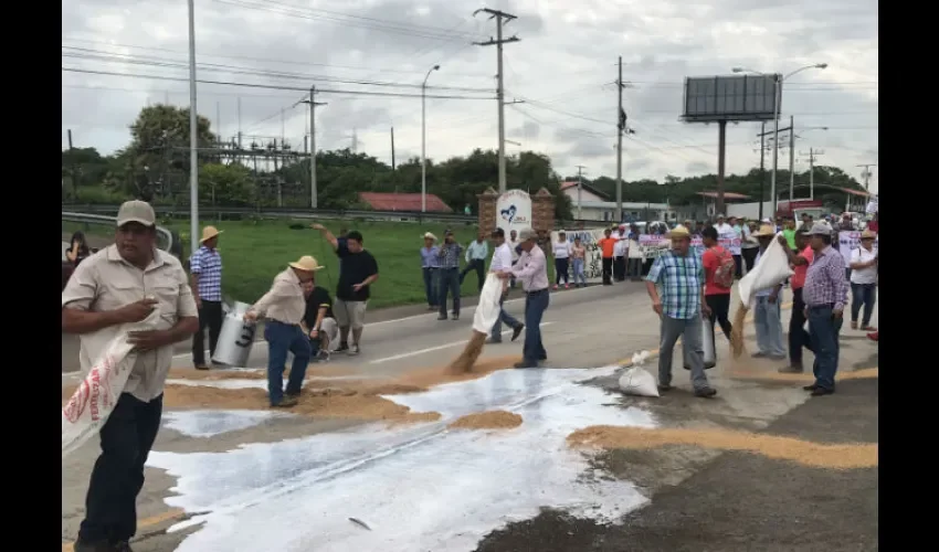 Productores de Coclé y Veraguas. 