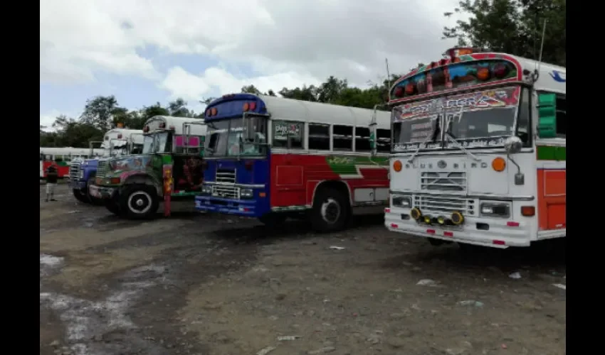 Robo en bus en Panamá Oeste.