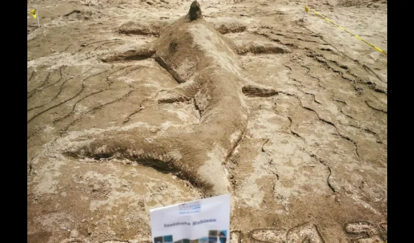 Realizaron la XII versión del Concurso de esculturas de arena. Foto: Cortesía
