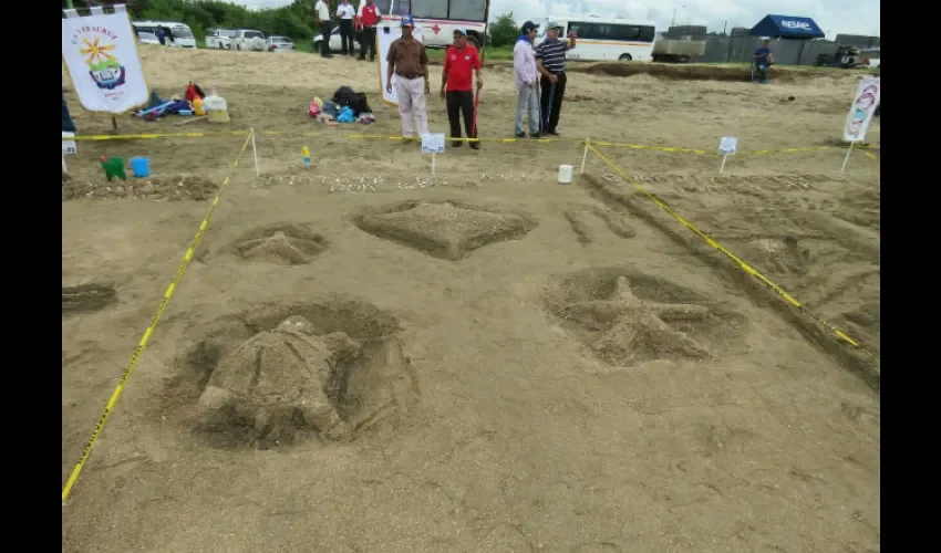 El concurso se hizo en Veracruz, Los Santos, Veraguas y Bocas del Toro. Foto: Cortesía