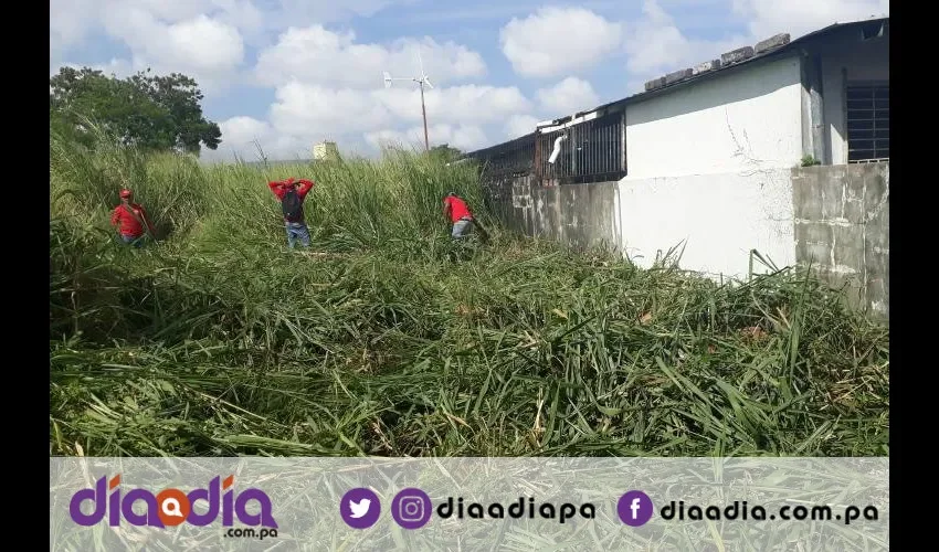 Piden a la Alcaldía que multe a los dueños de los terrenos baldíos. Foto: Jesús Simmons