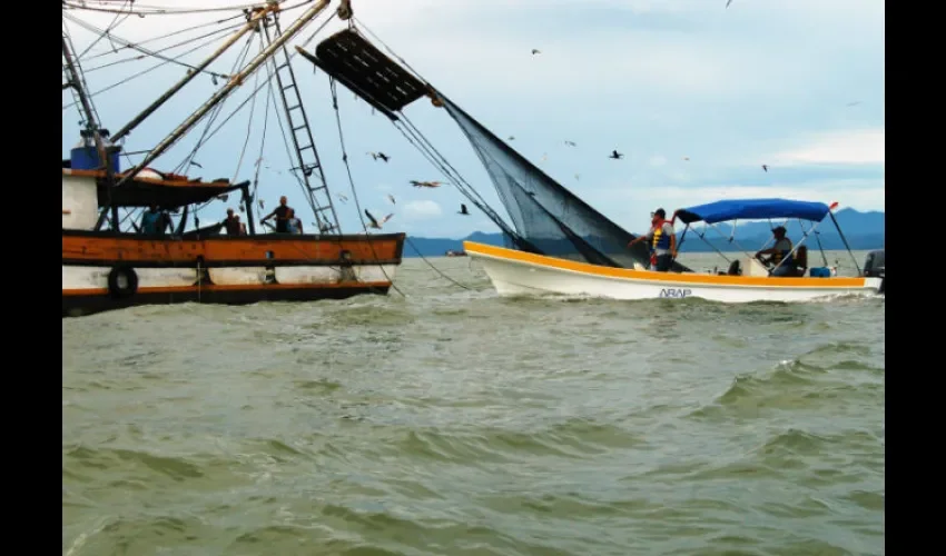 La pesca debe ser regulado y eso lo saben las autoridades: Fotos: Cortesía