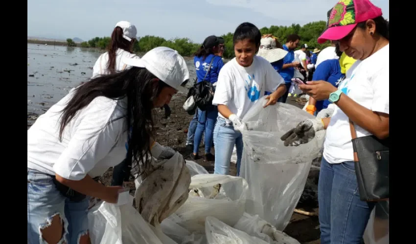 Foto ilustrativa de la recolecta de basura en Costa del Este por parte del equipo de Mercadeo y redacción de "día a día". Foto: Santos J. Oliveros C. 