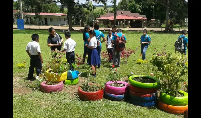 Los estudiantes aprendieron a sembrar. Foto: Cortesía