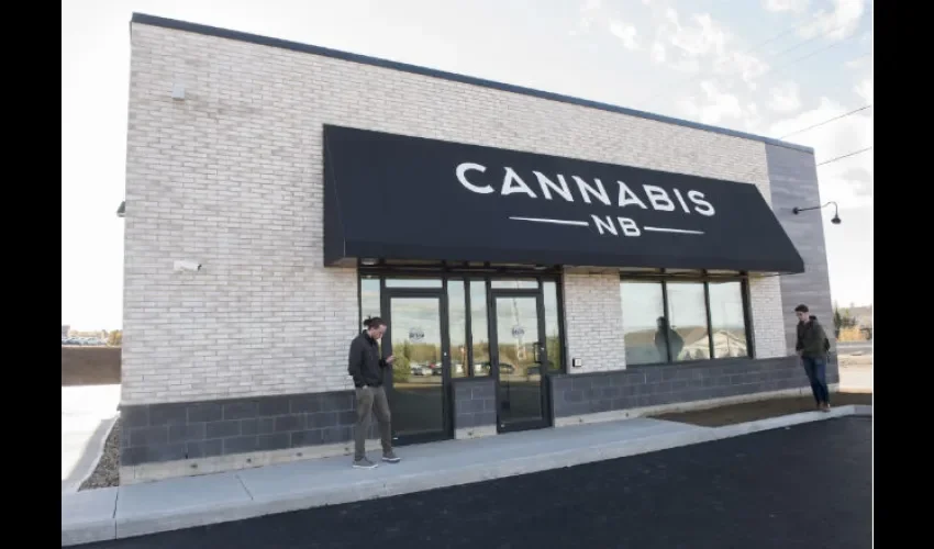 Canadá indultará a marihuaneros condenados por posesión de la droga. Foto: AP.
