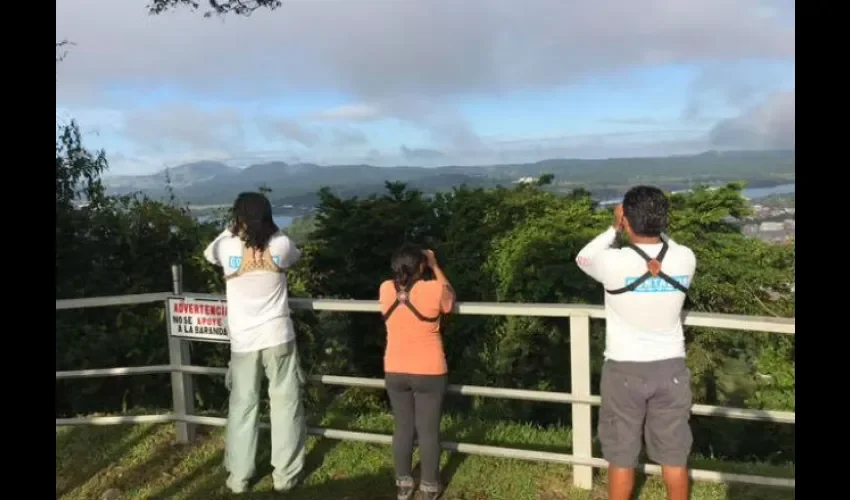 Voluntarios de Audubon en el Cerro Ancón durante el conteo. Foto: Audubon Panamá