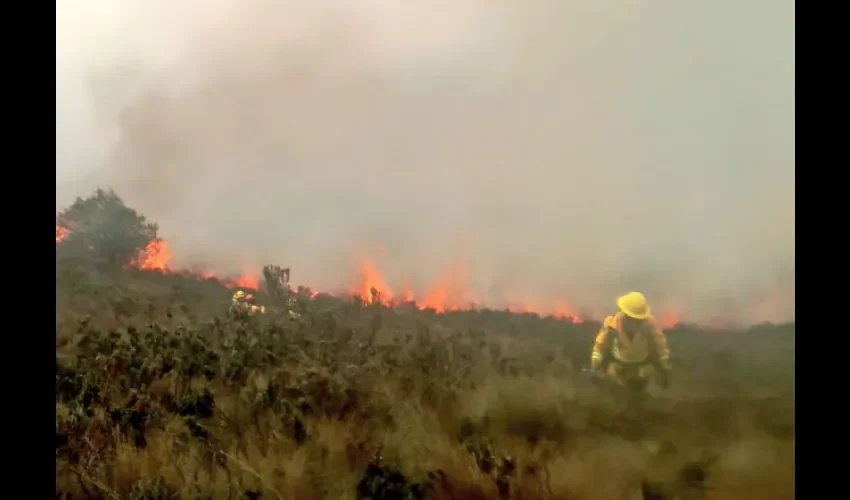 Luchan para extinguirlo. Foto @BomberosQuito