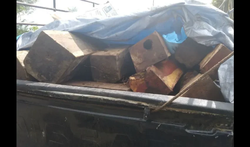 La madera era transportada en un auto pick up. Foto: Thays Domínguez
