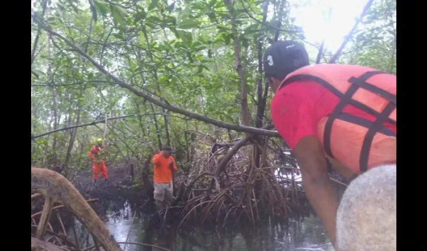 Cadáver en manglares de Bocas del Toro. 