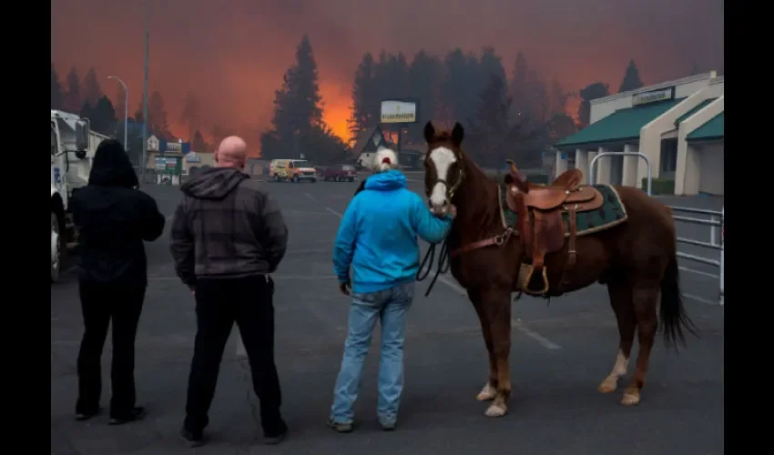 Vistas del incendio en el condado de Butte, California (EE. UU.). EFE 