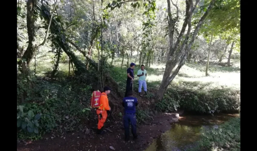 Búsqueda de adulto mayor en Chiriquí. 