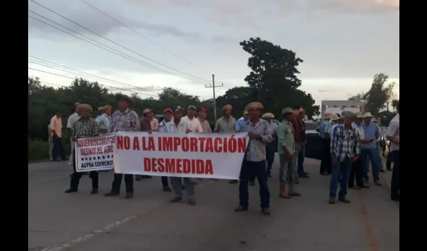 Han realizado una serie de protestas. Foto: Thays Domínguez 