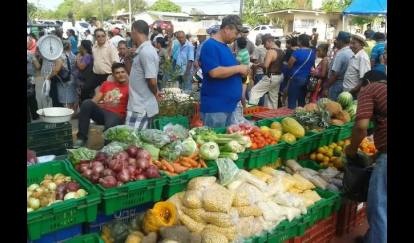 Panameños no se pueden quejar de las legumbres, están baratas. Foto: Archivo