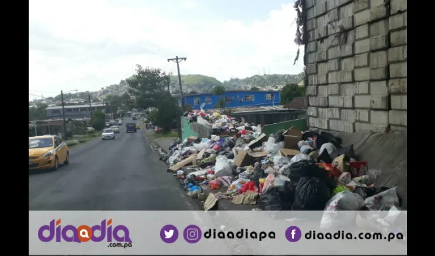 600 toneladas de basura menos se recogieron en Navidad y Año Nuevo. Foto: Jesús Simmons