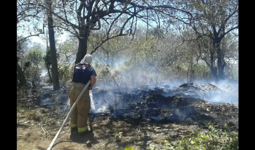 Incendios de masa vegetal en Chiriquí. 