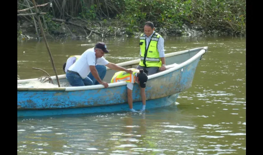 Mortandad de peces en Chiriquí. 