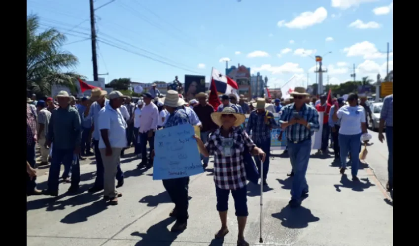Protesta de los productores realizada en Azuero. Foto: Thays Domínguez 