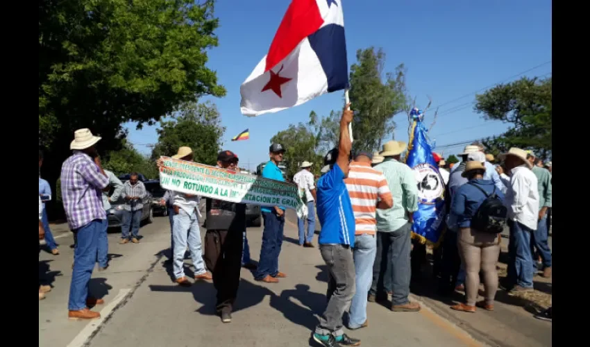 Productores de Azuero. Foto: Thays Domínguez 