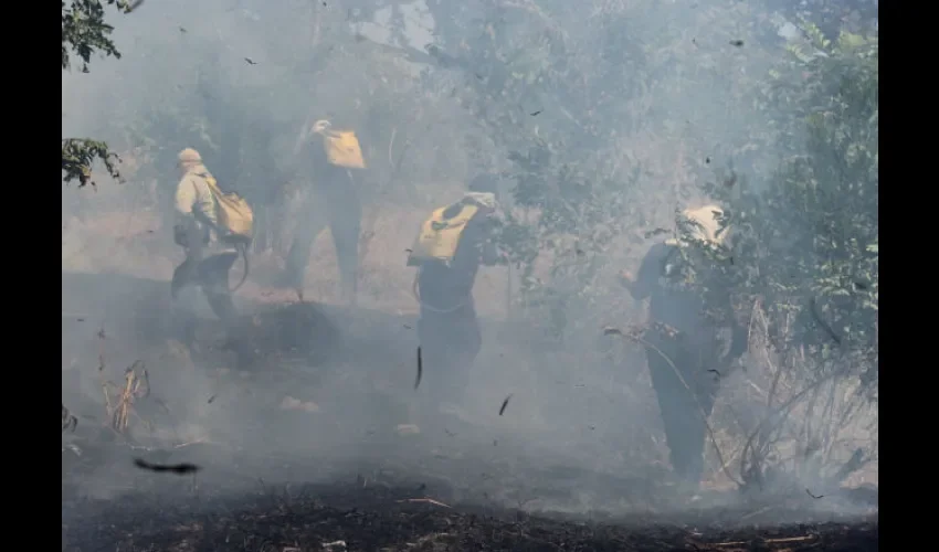 Incendios de masa vegetal en Veraguas. 