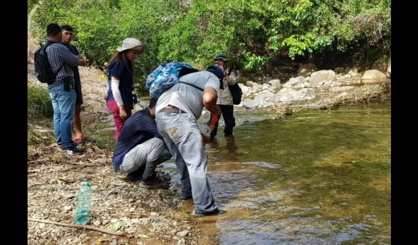 Extracción ilegal de oro en ríos de Herrera. 