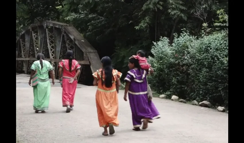 Casos de tosferina en la comarca Ngäbe Buglé.