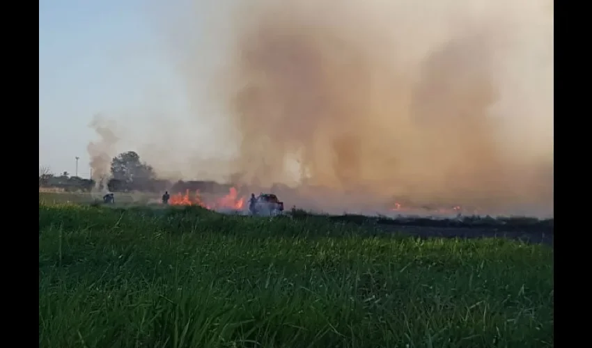 Fuego del incendio de masa vegetal en autopista Arraiján - La Chorrera.