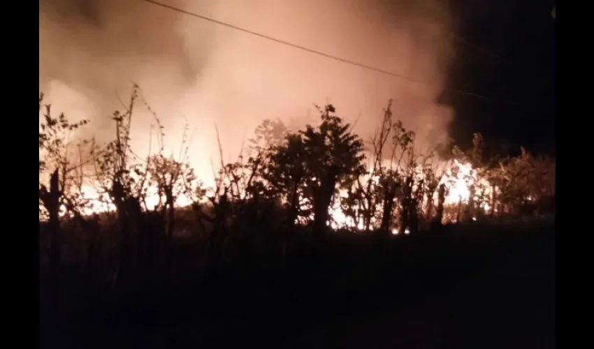 Los bomberos trabajan para controlar múltiples incendios que se dan a diario.