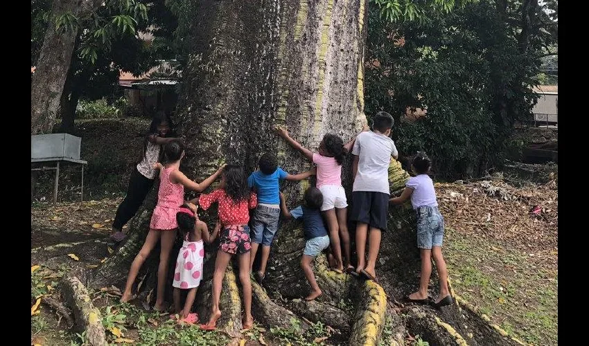 Los niños se abrazaron a un inmenso árbol barrigón. Foto: Cortesía