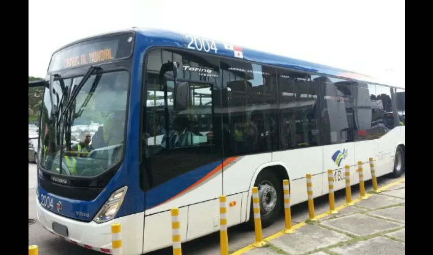 Foto ilustrativa de los buses. 
