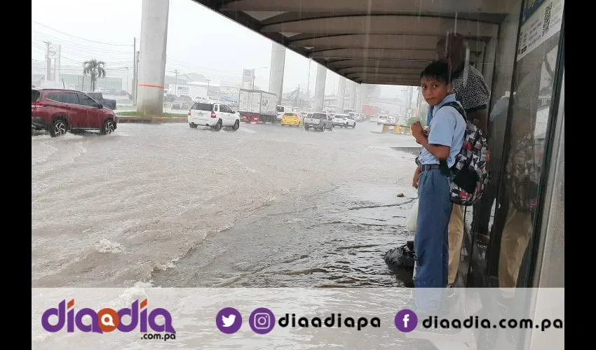 La aplicación será útil para de denunciar calles inundadas y huecos. Foto: Jesús Simmons