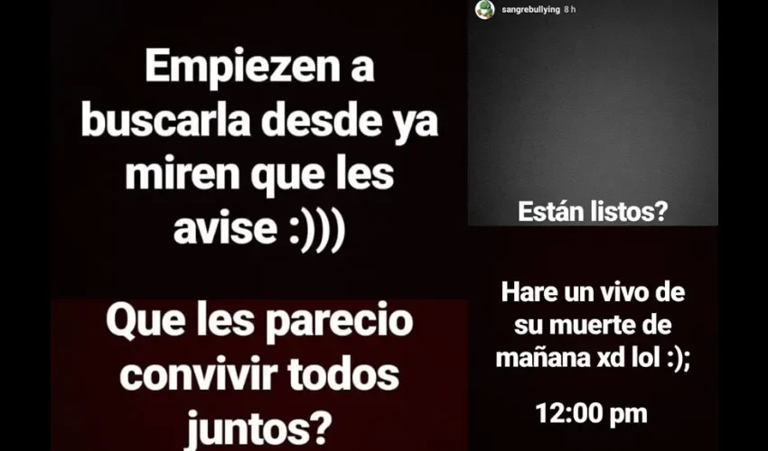 Capturas del perfil de Instagram que circulan por redes. En las imágenes se ven mensajes muy fuertes. 