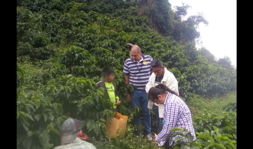 Foto ilustrativa de la inspección de las fincas. 