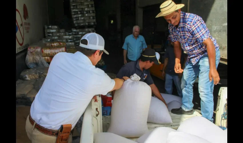 La asistencia concluyó con la logística y traslado del grano desde la finca del señor Héctor Ríos, ubicada en área de difícil acceso, hasta el Molino San Pablo de Aguadulce,  punto de entrega al comprador del muy aceptado y consumido grano en nuestro país.  